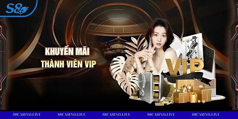 Hệ thống đặc quyền VIP mang lại trải nghiệm ưu tiên vượt trội